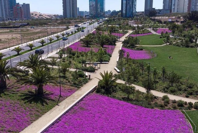 detalles Azaleas